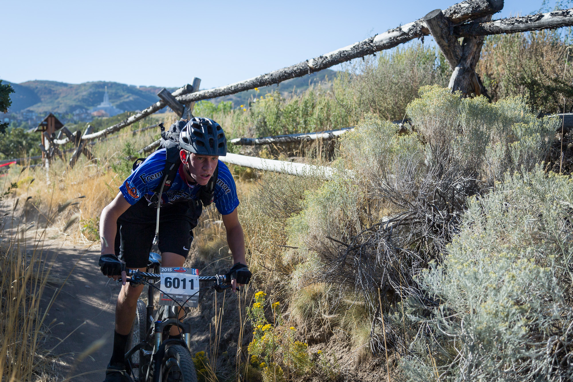 6011 Web (1 of 5).JPG