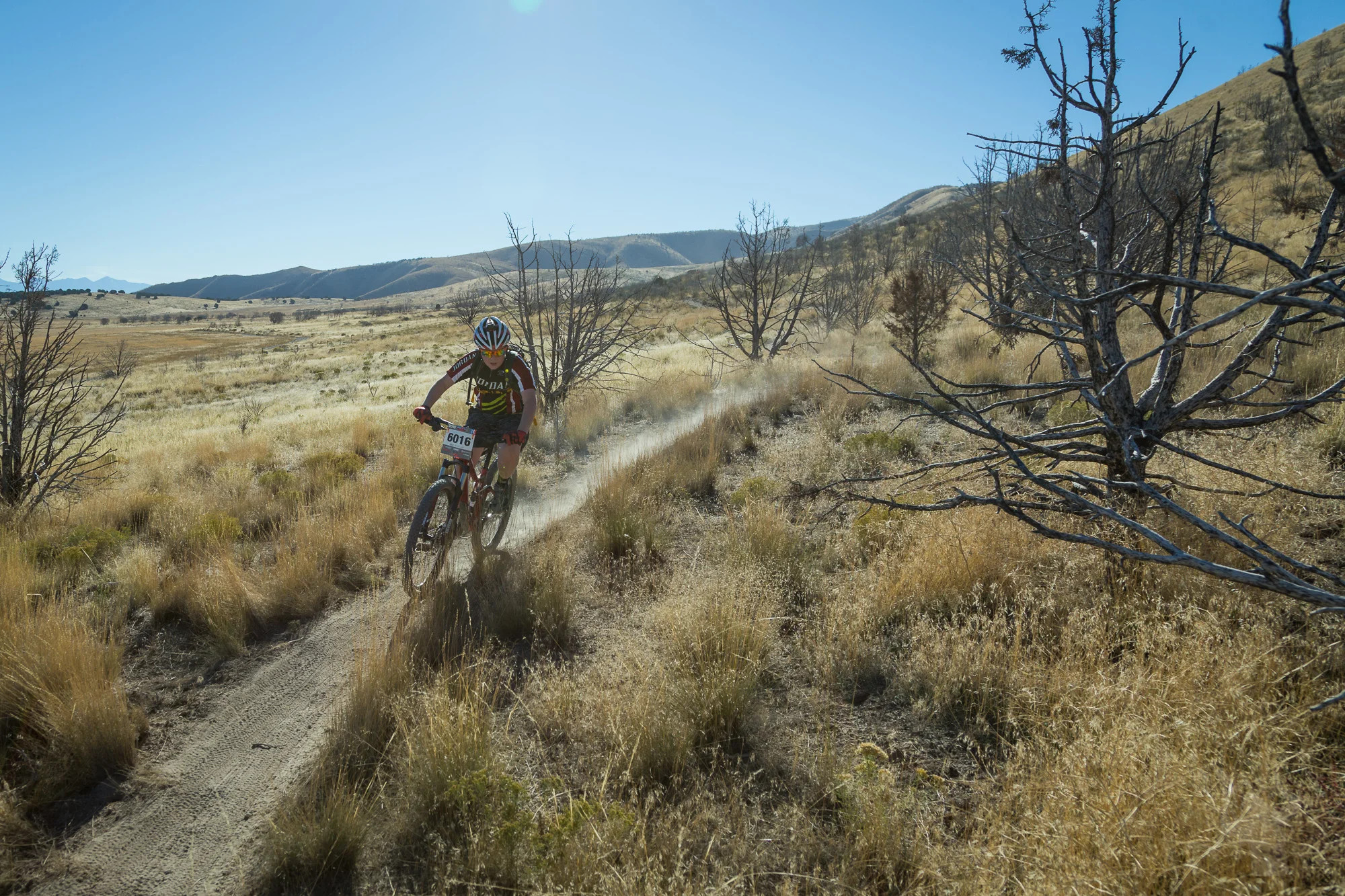 6016 Web (7 of 8).JPG