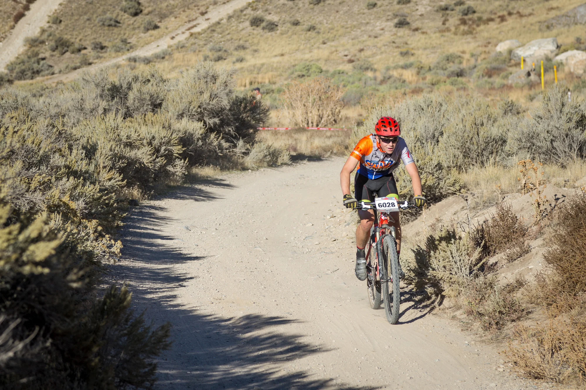 6028 Web (6 of 8).JPG