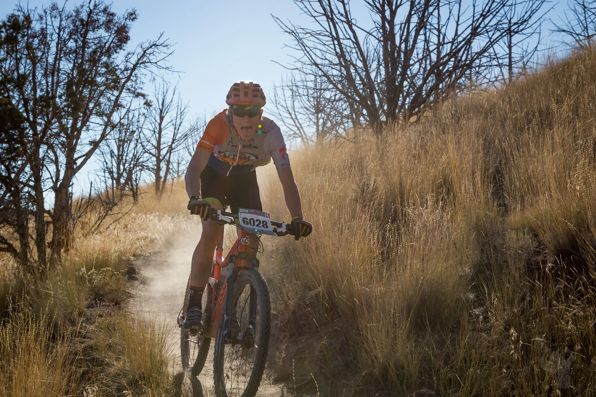 6028 Web (7 of 8).JPG