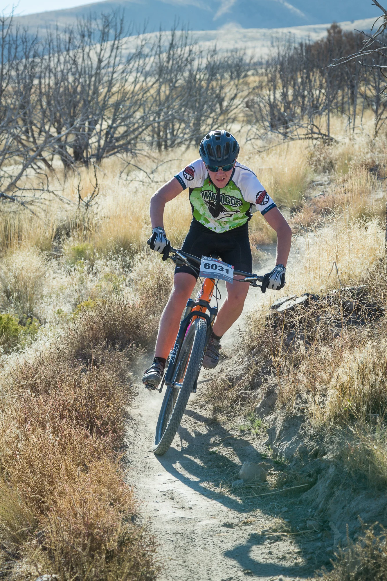 6031 Web (8 of 9).JPG