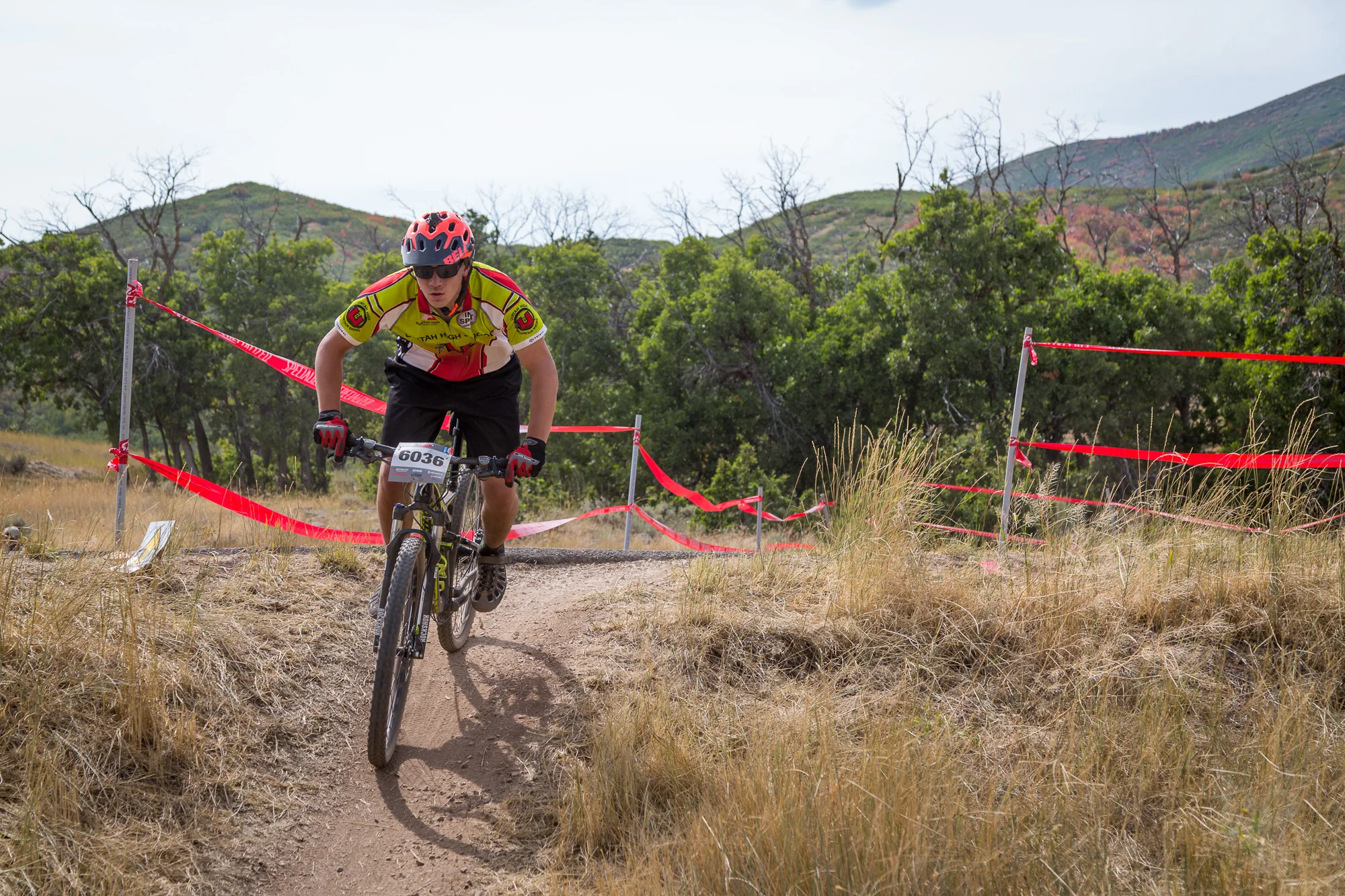 6036 Web (1 of 5).JPG