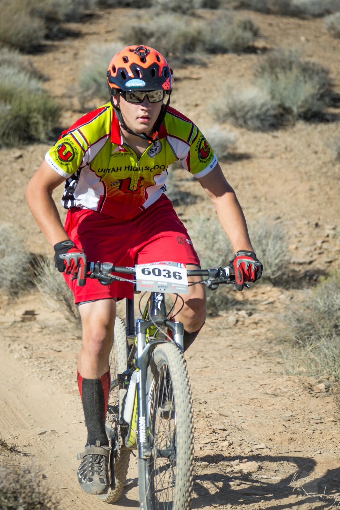 6036 Web (5 of 5).JPG