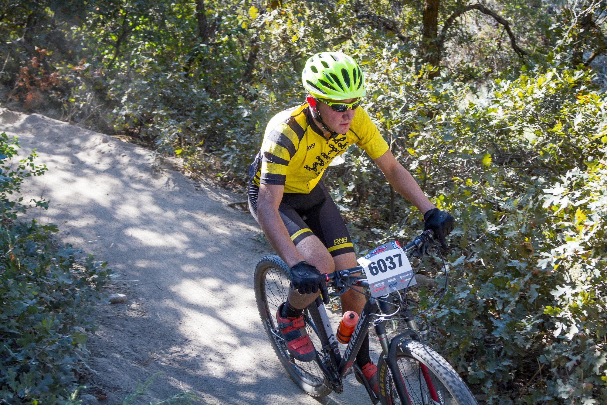 6037 Web (1 of 7).JPG