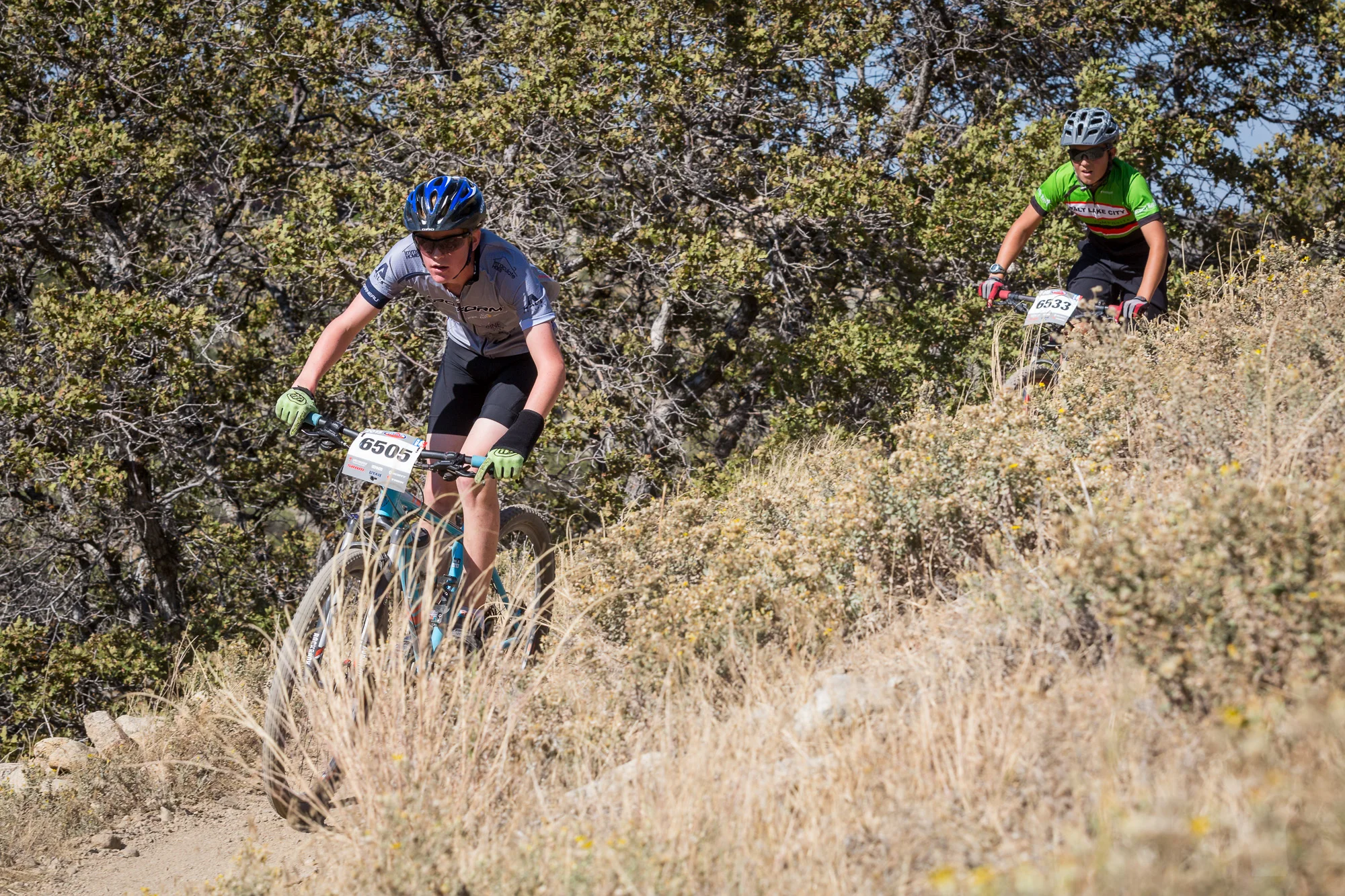 6505 Web (1 of 4).JPG