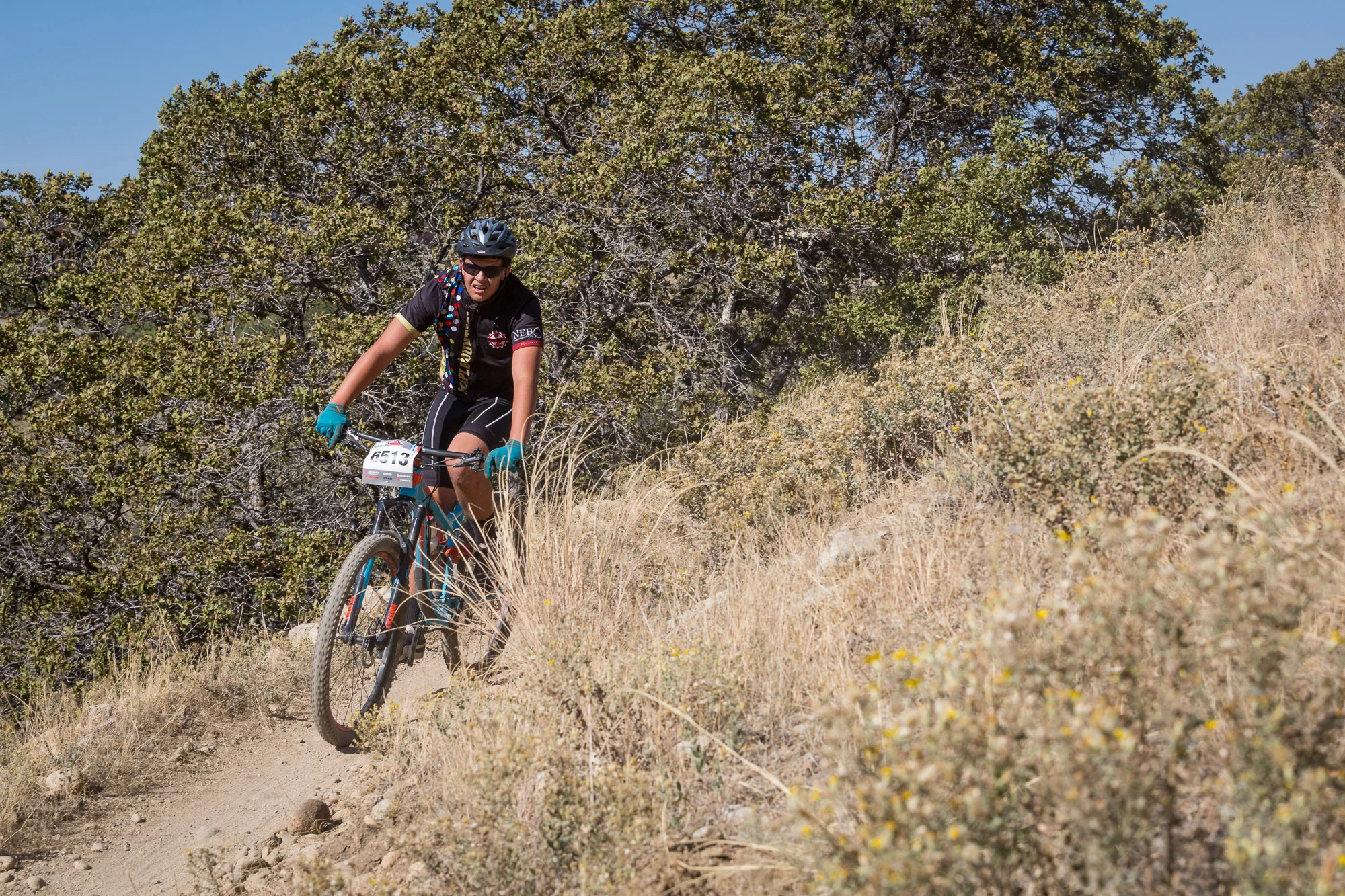 6513 Web (2 of 5).JPG