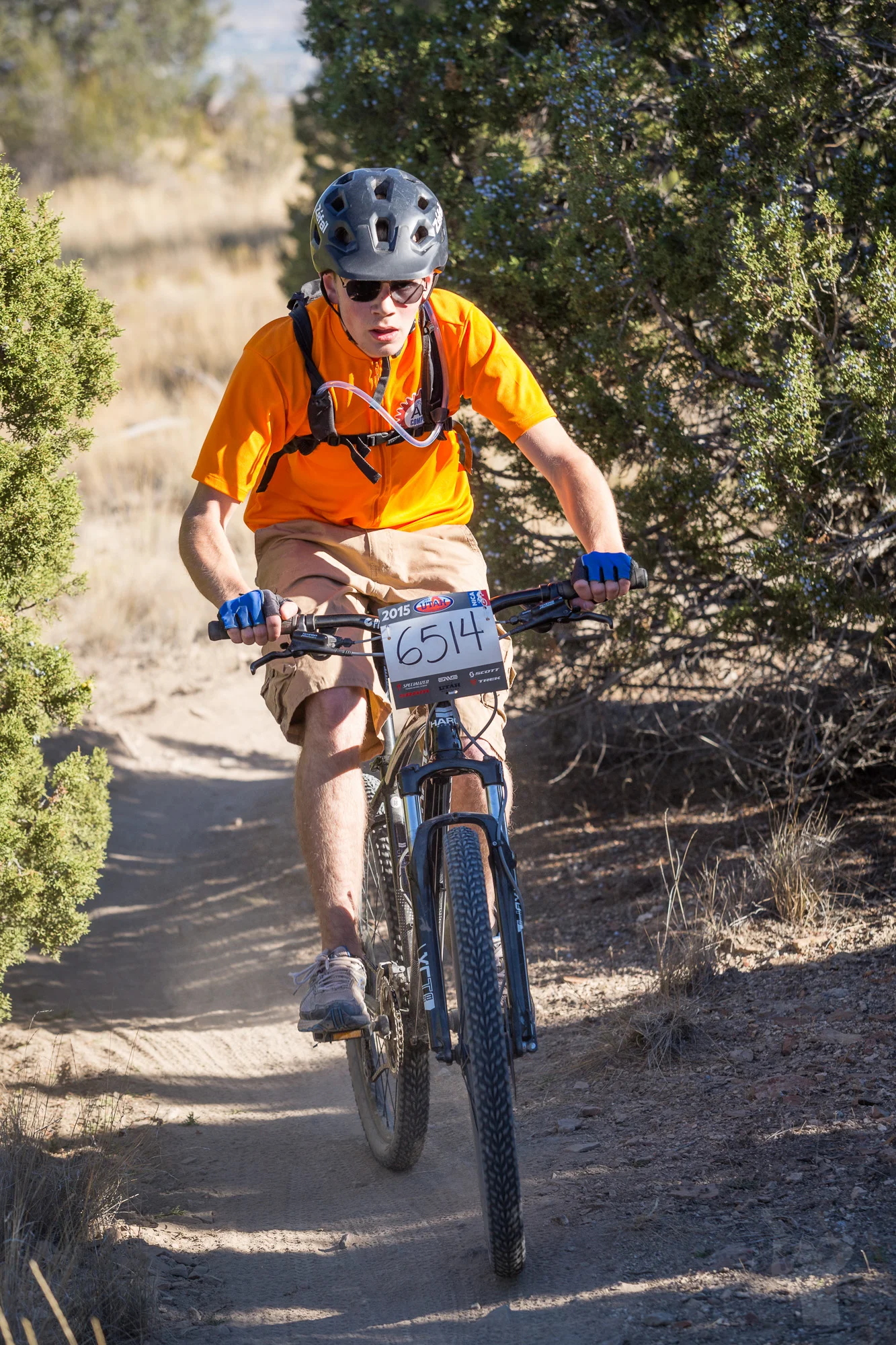 6514 Web (2 of 3).JPG