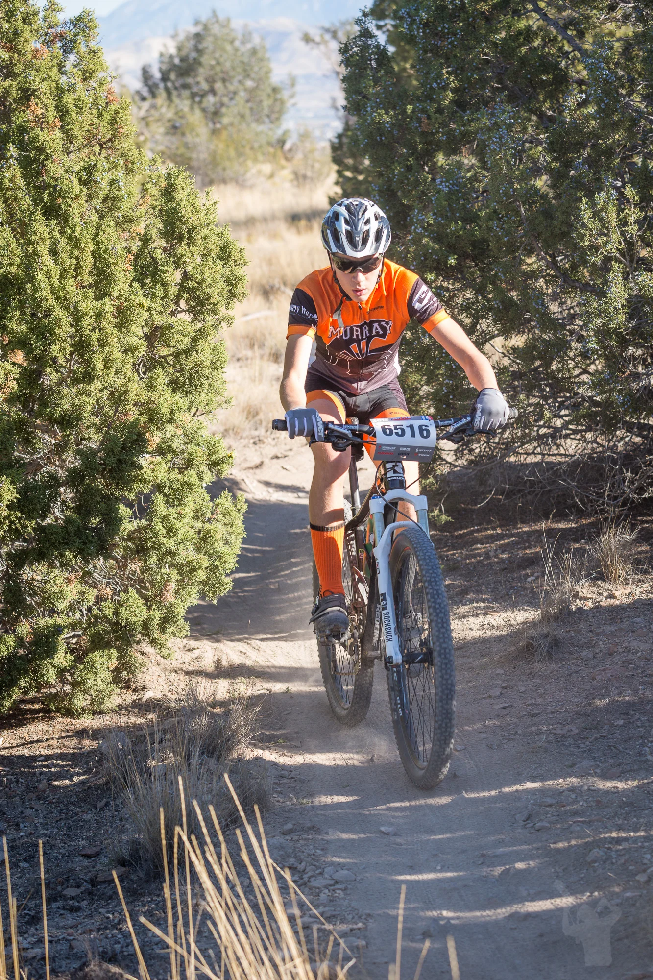 6516 Web (5 of 6).JPG