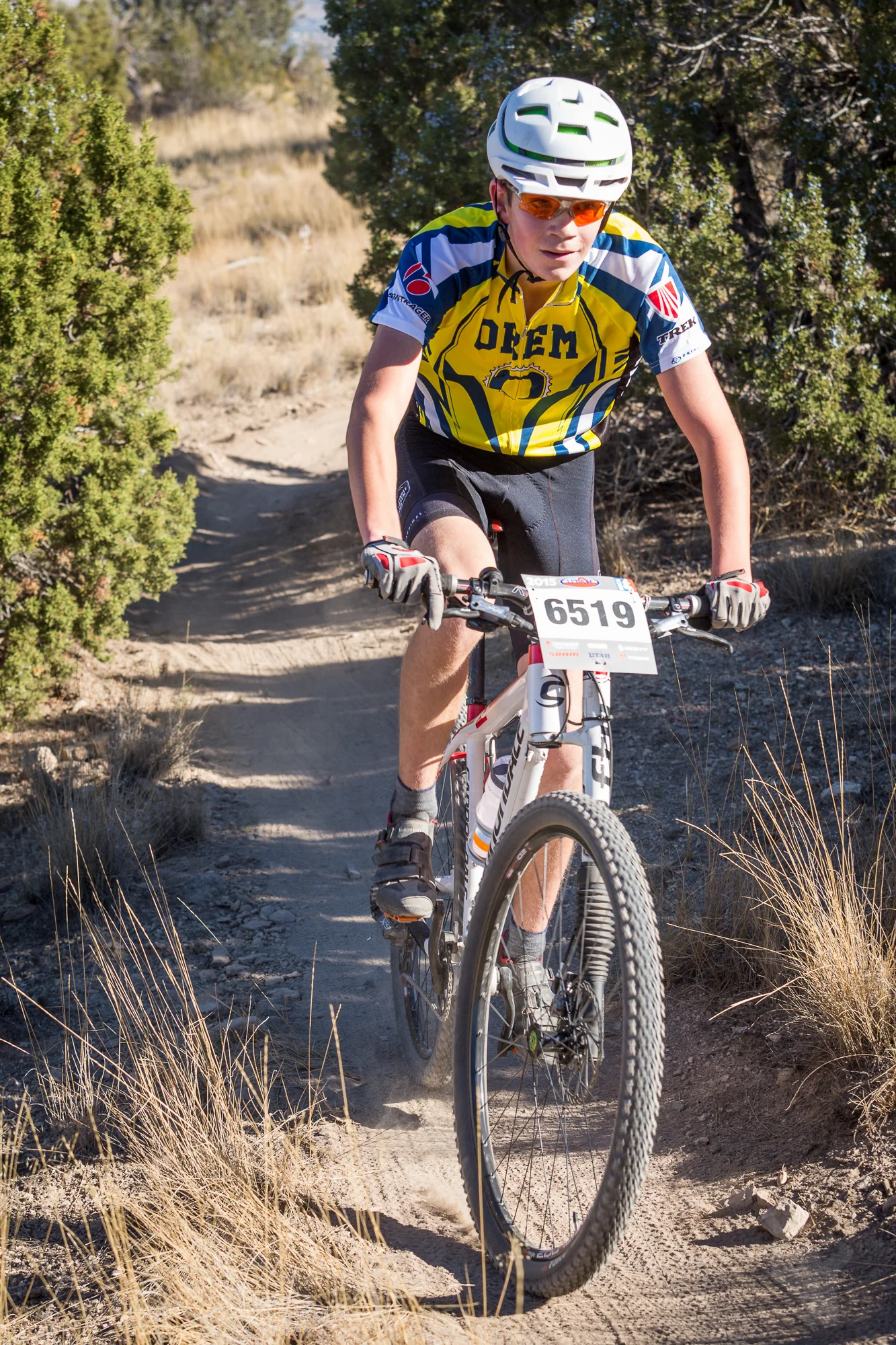 6519 Web (6 of 6).JPG