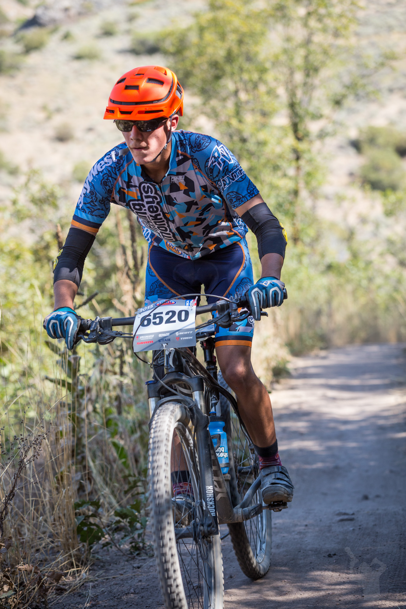 6520 Web (2 of 7).JPG