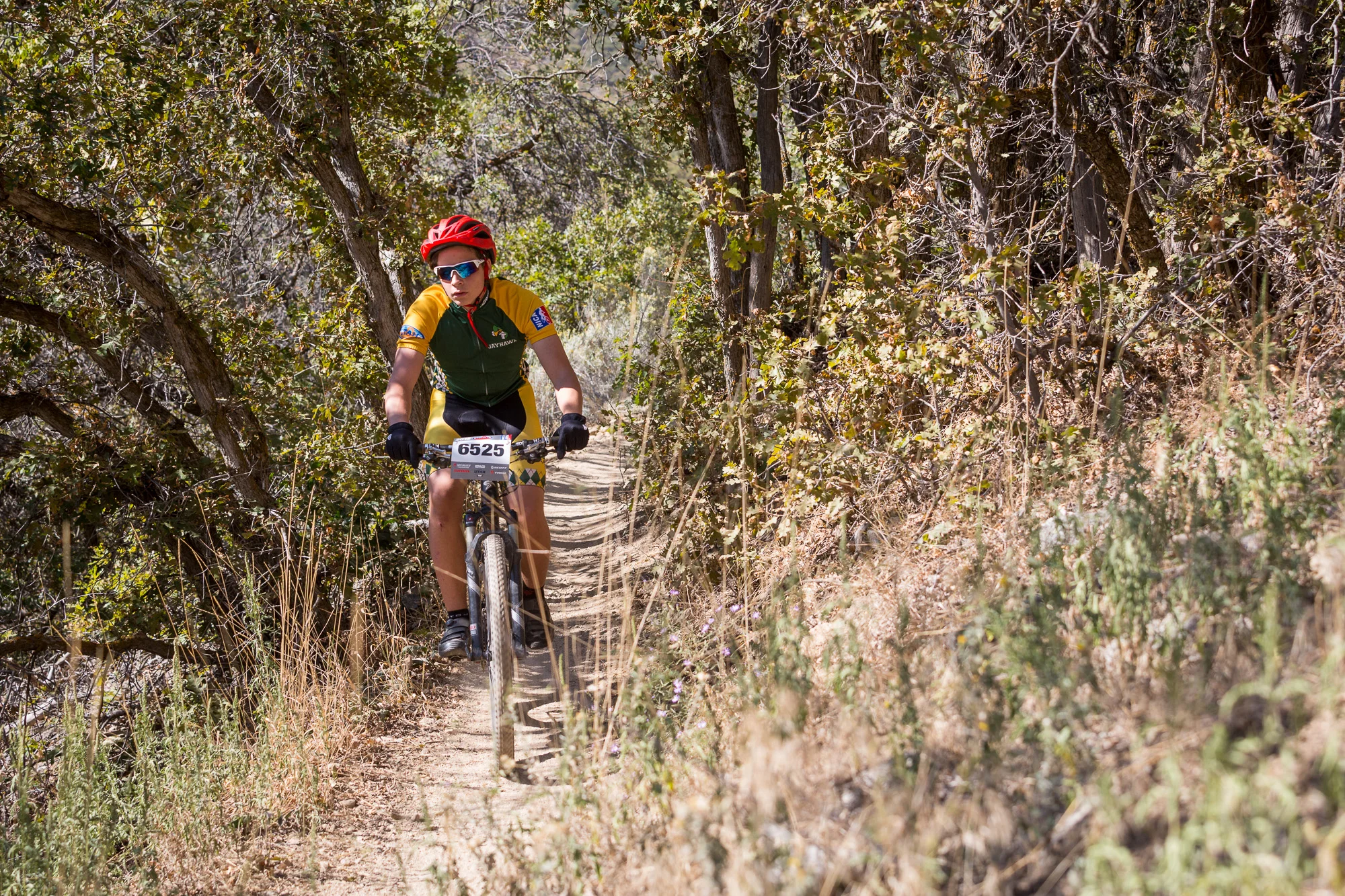 6525 Web (1 of 3).JPG