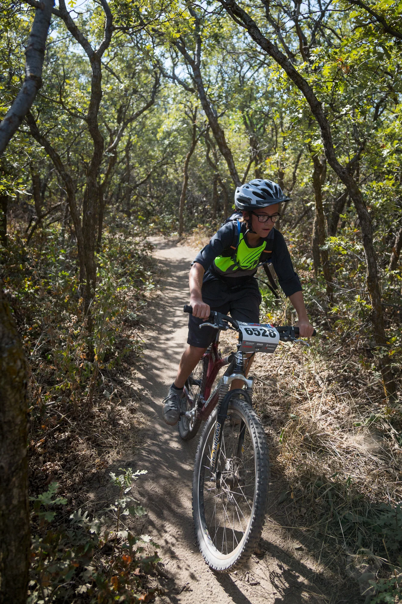 6528 Web (2 of 5).JPG