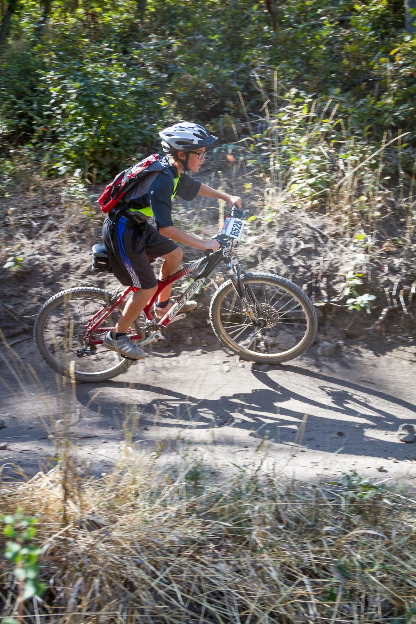 6528 Web (3 of 5).JPG