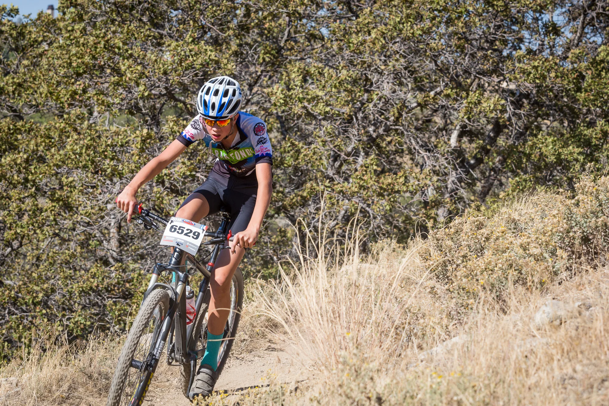 6529 Web (2 of 7).JPG