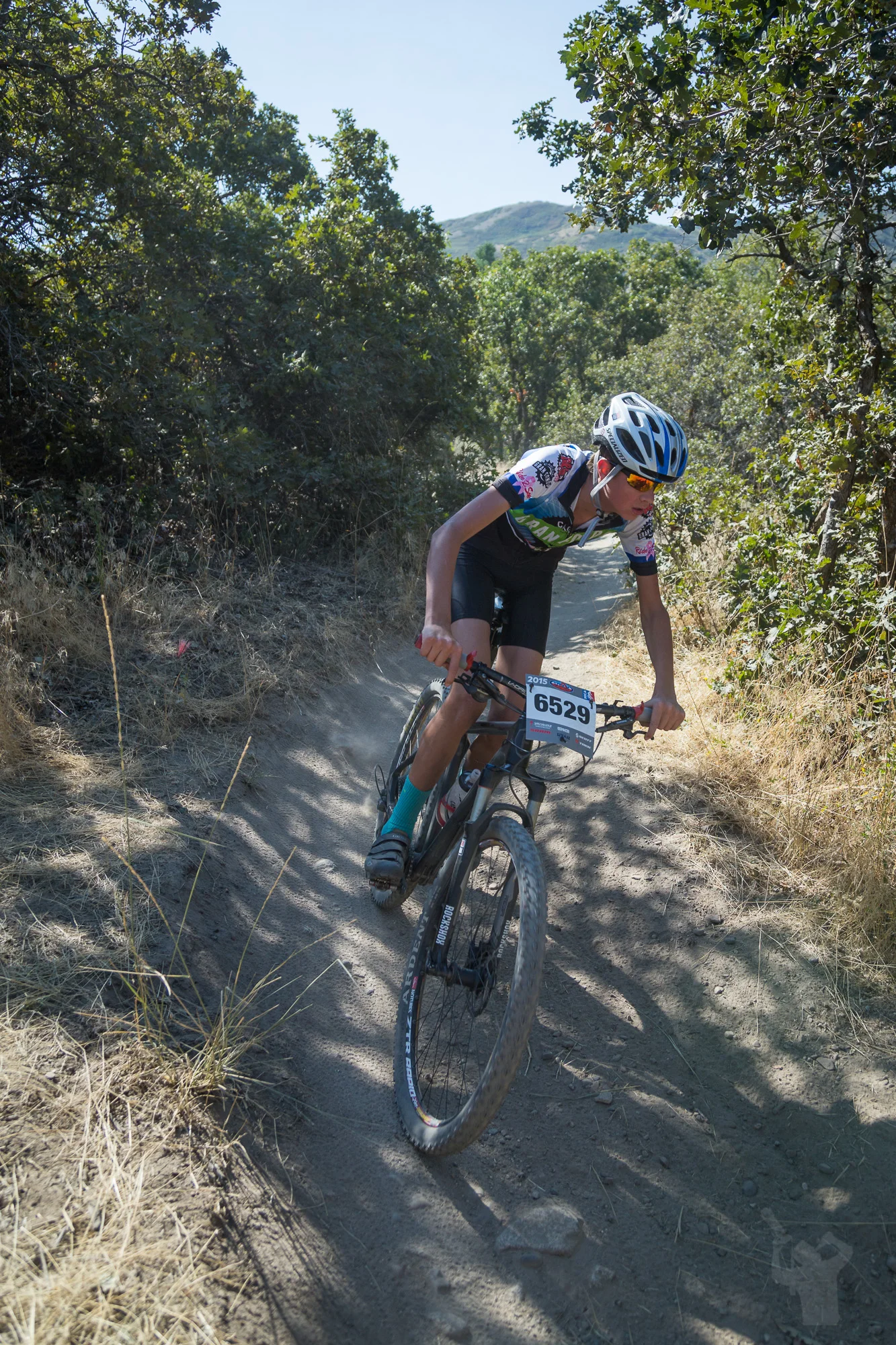 6529 Web (4 of 7).JPG