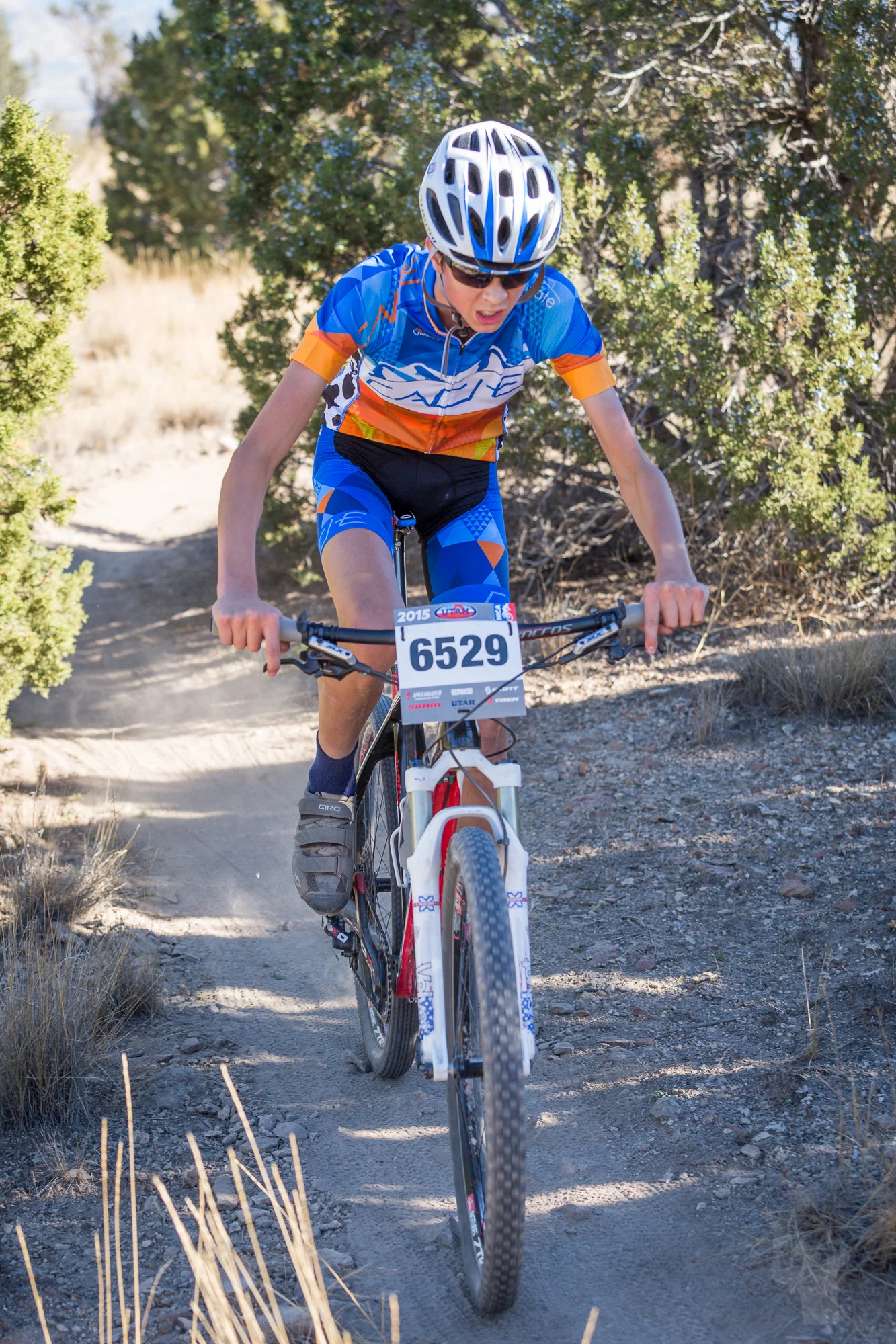 6529 Web (7 of 7).JPG