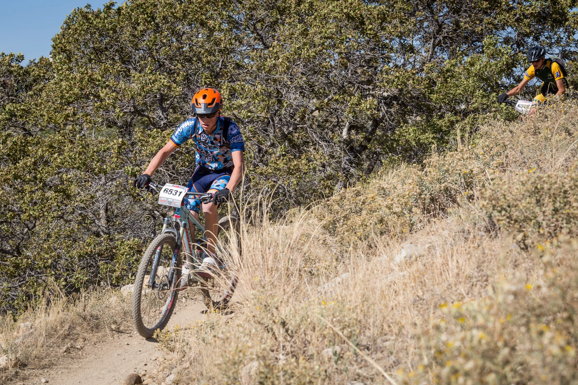 6531 Web (2 of 6).JPG