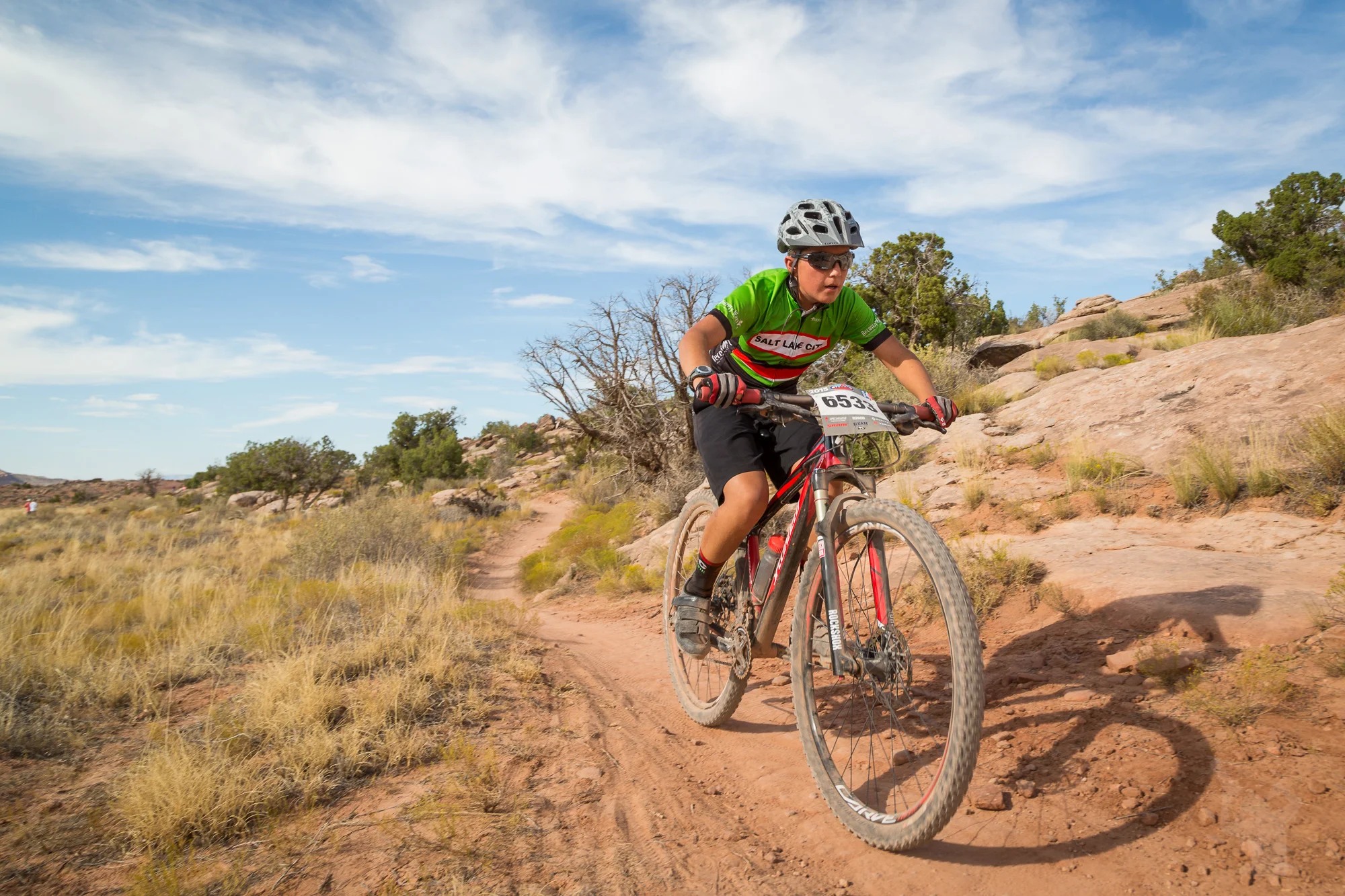 6533 Web (6 of 8).JPG