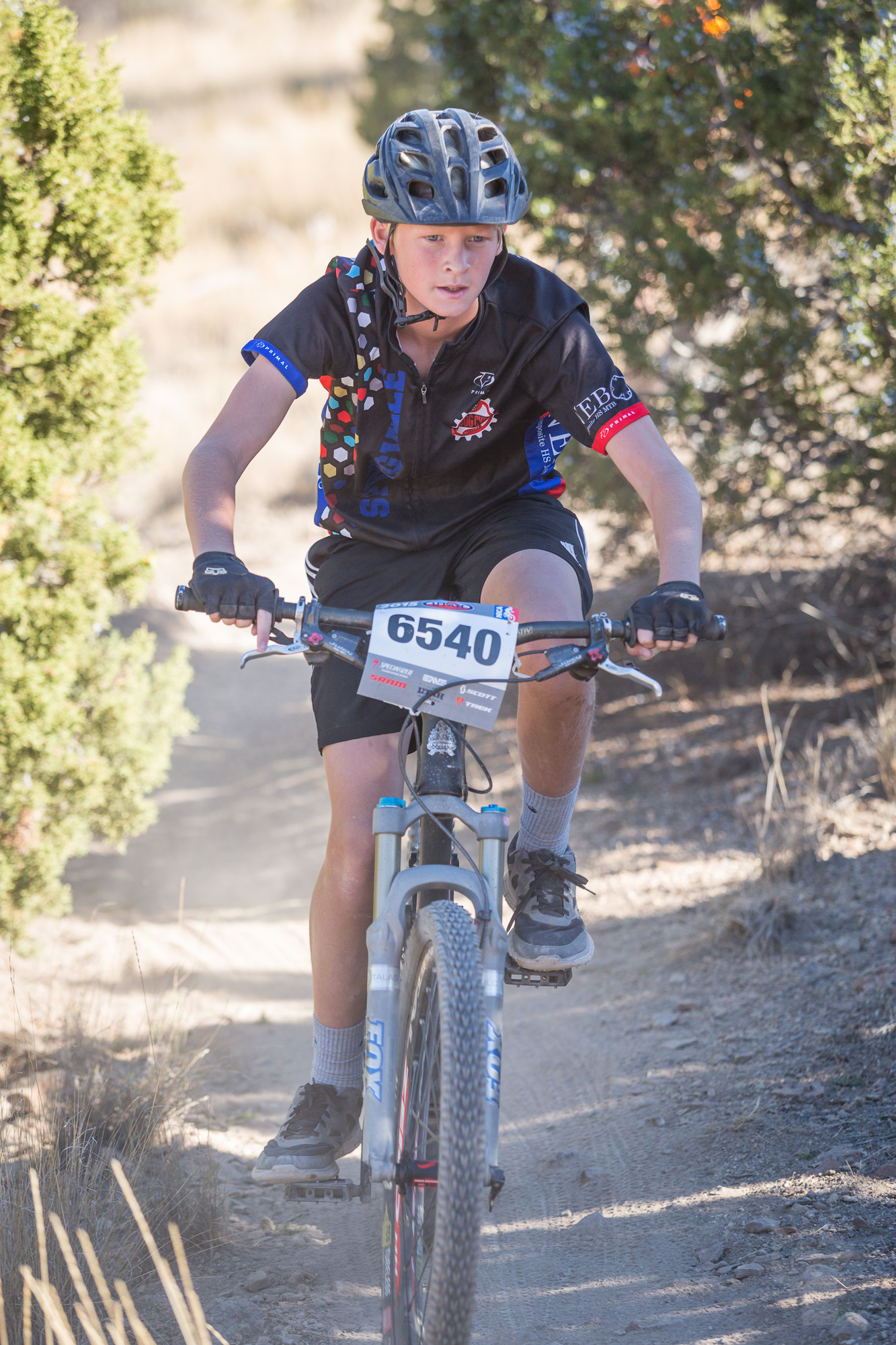 6540 Web (2 of 3).JPG