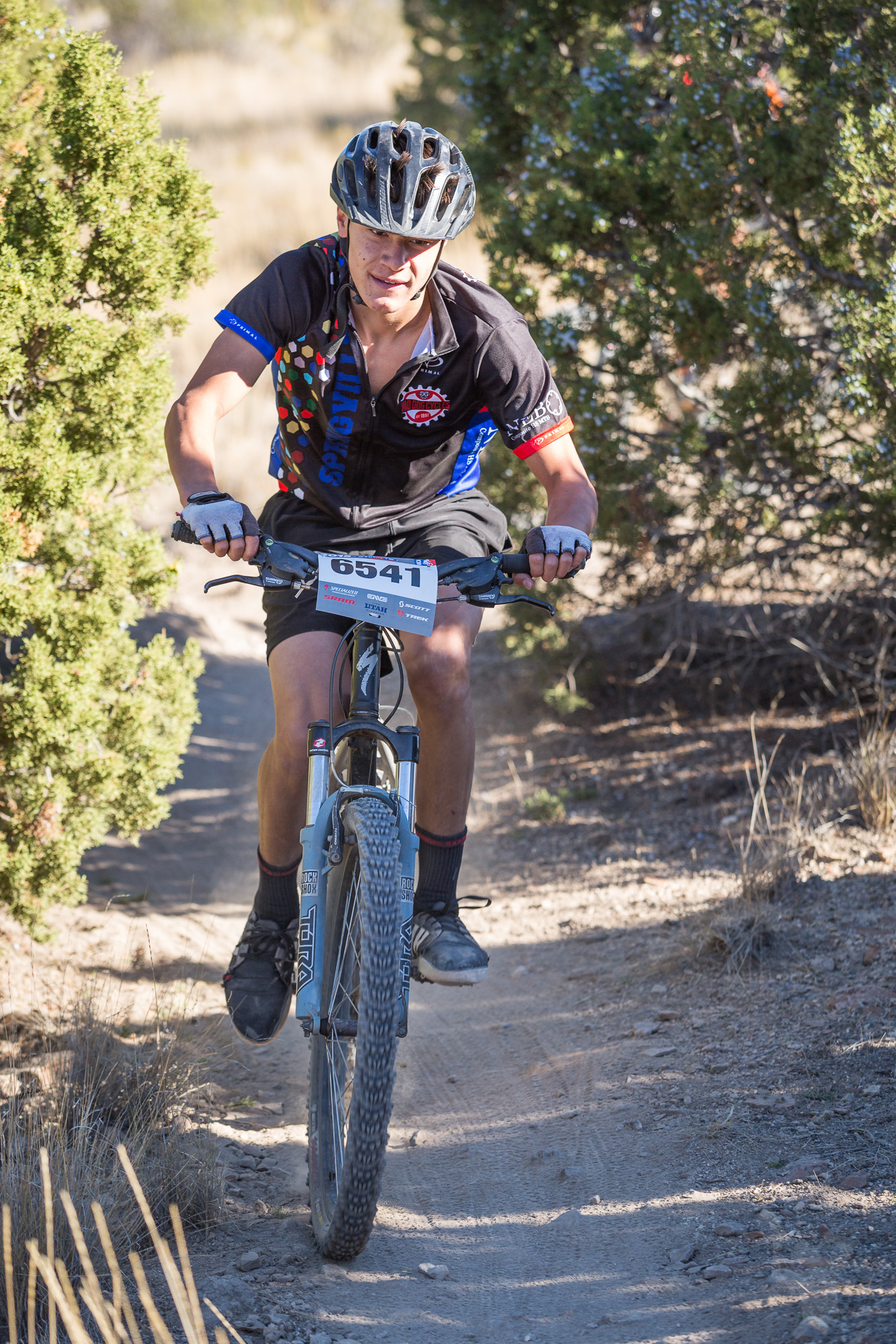 6541 Web (2 of 3).JPG