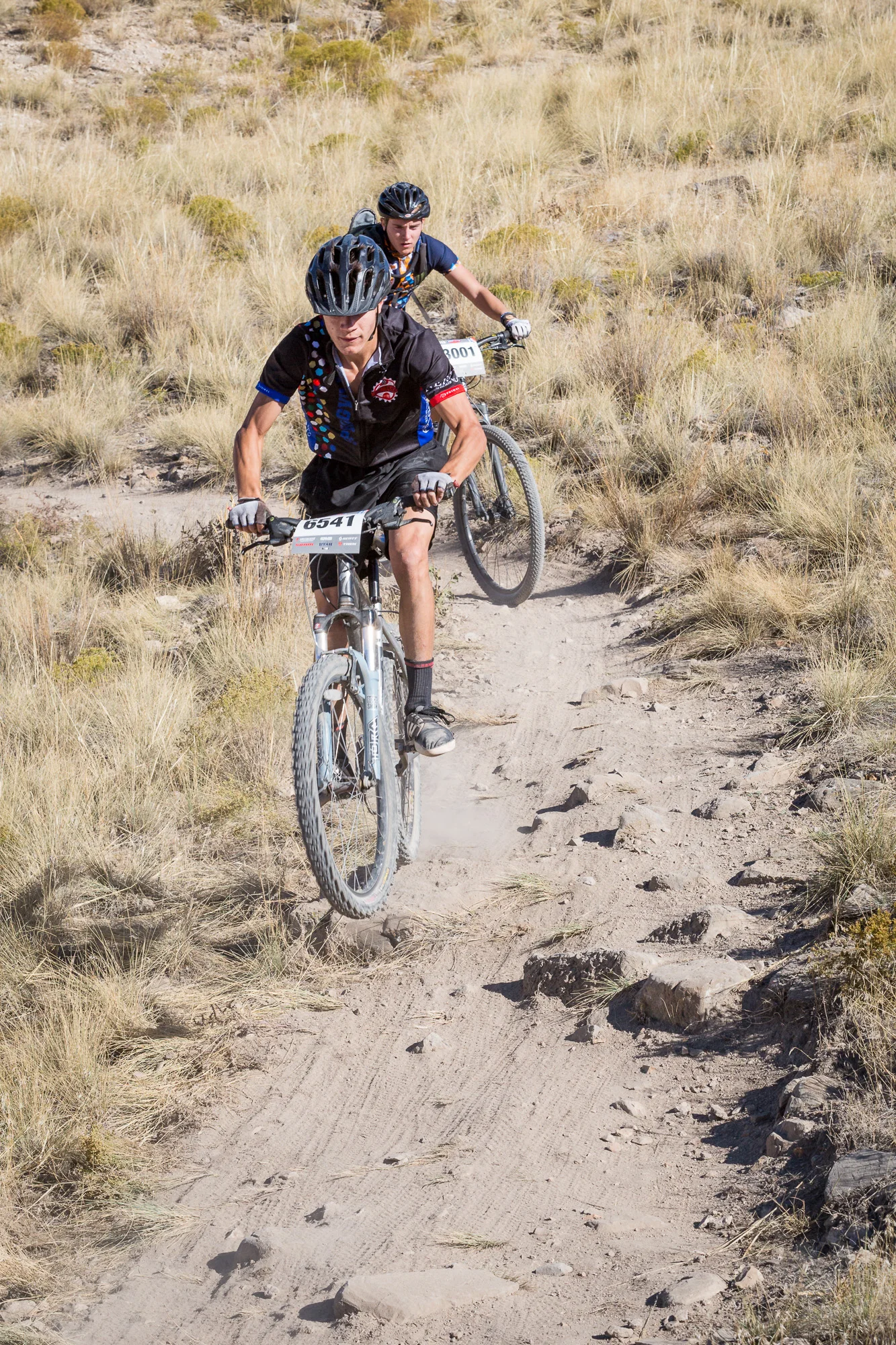 6541 Web (3 of 3).JPG