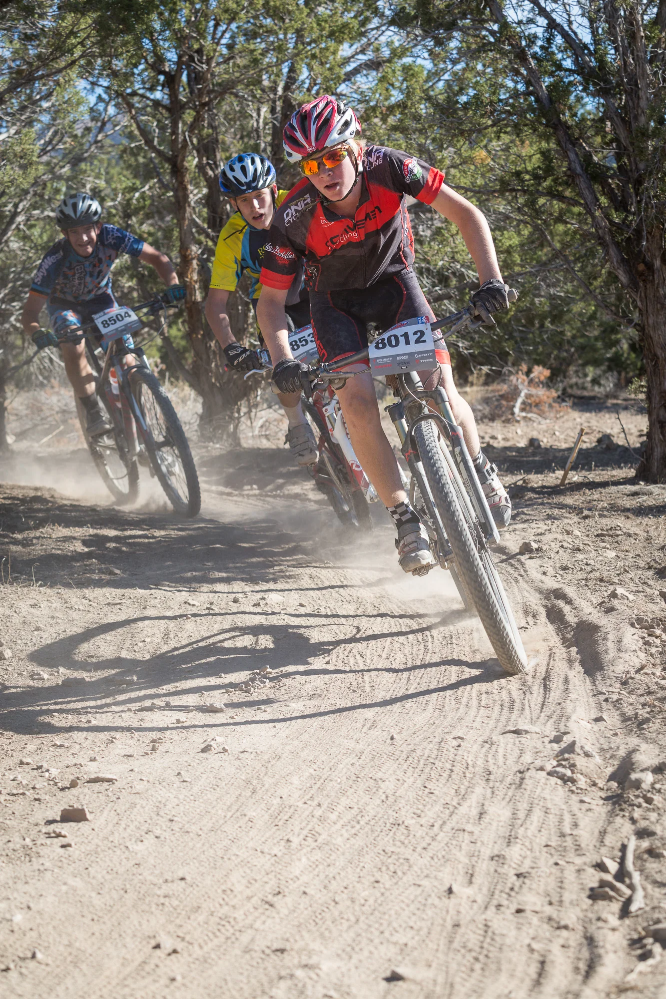 8012 Web (3 of 6).JPG