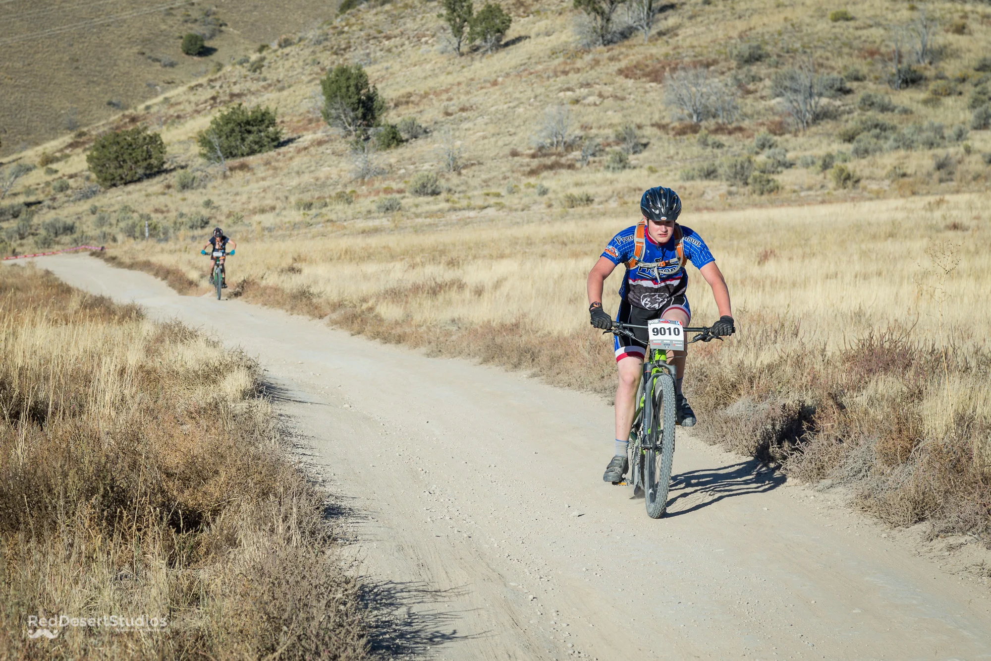 9010 Web (5 of 6).jpg