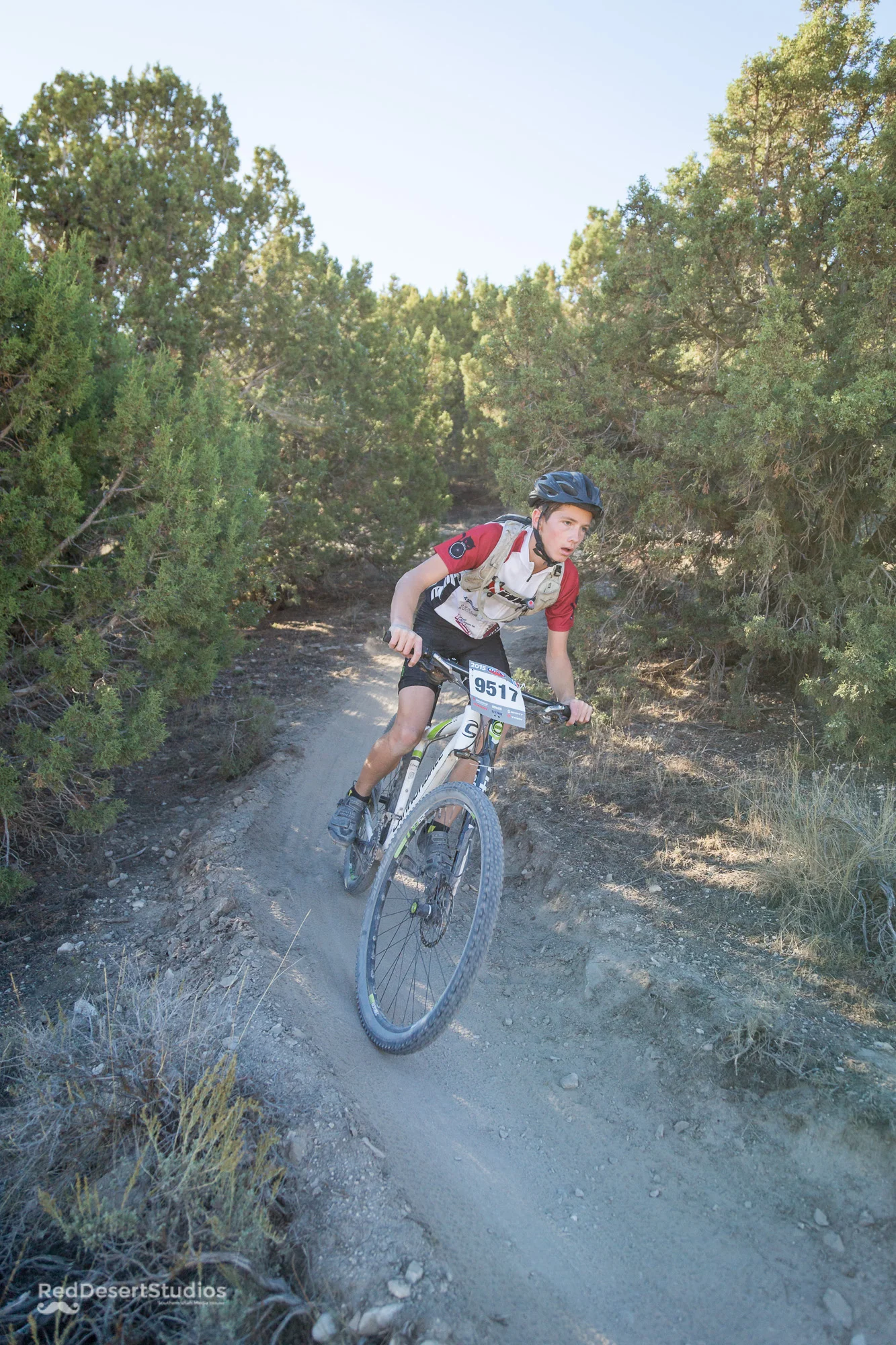 9517 Web (3 of 4).jpg