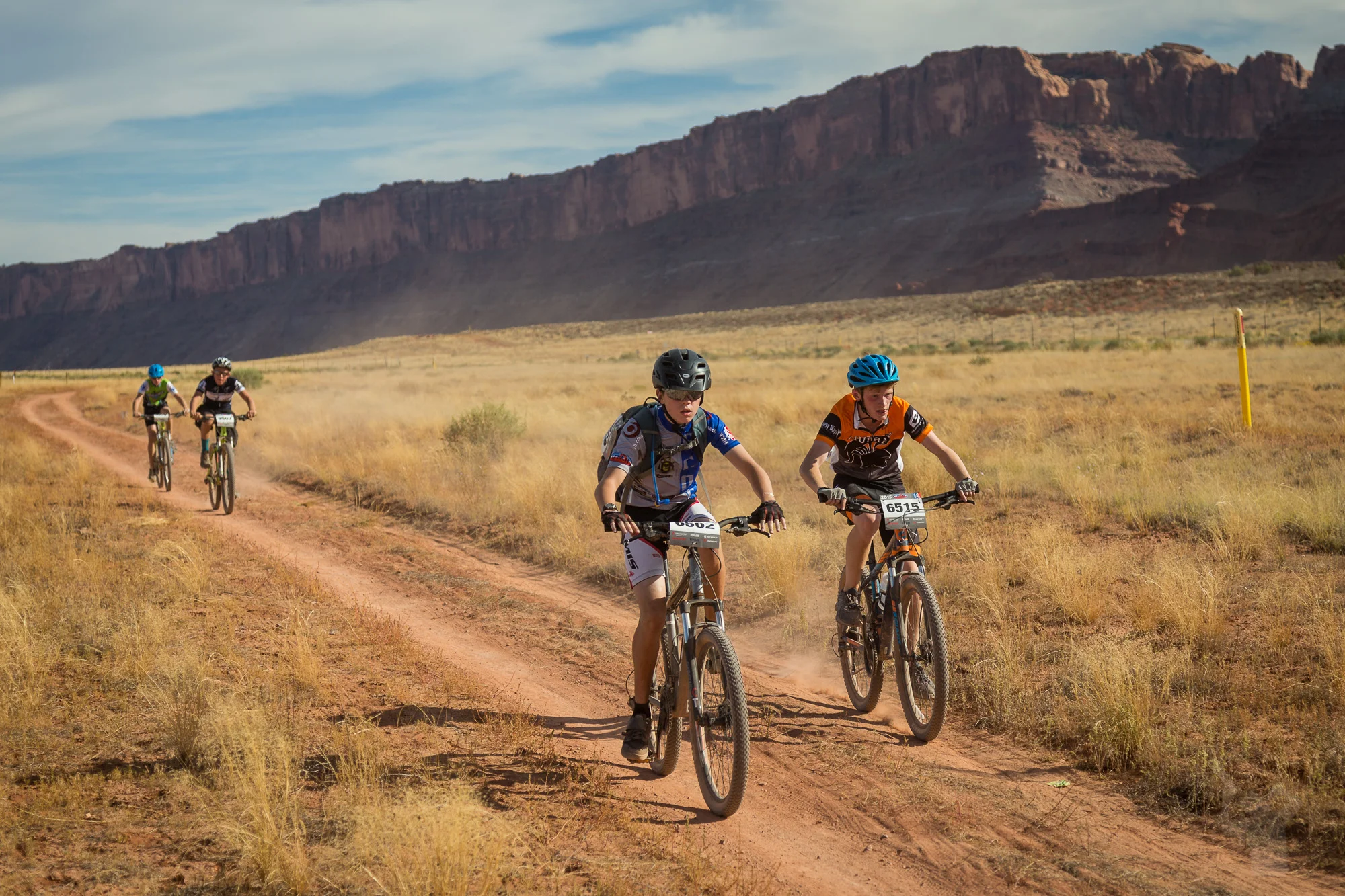 6542 Web (3 of 5).JPG