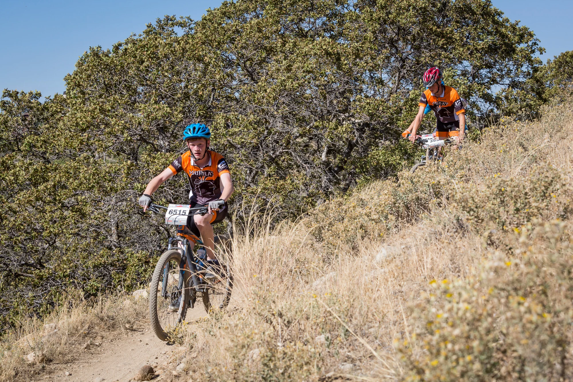 6542 Web (1 of 5).JPG