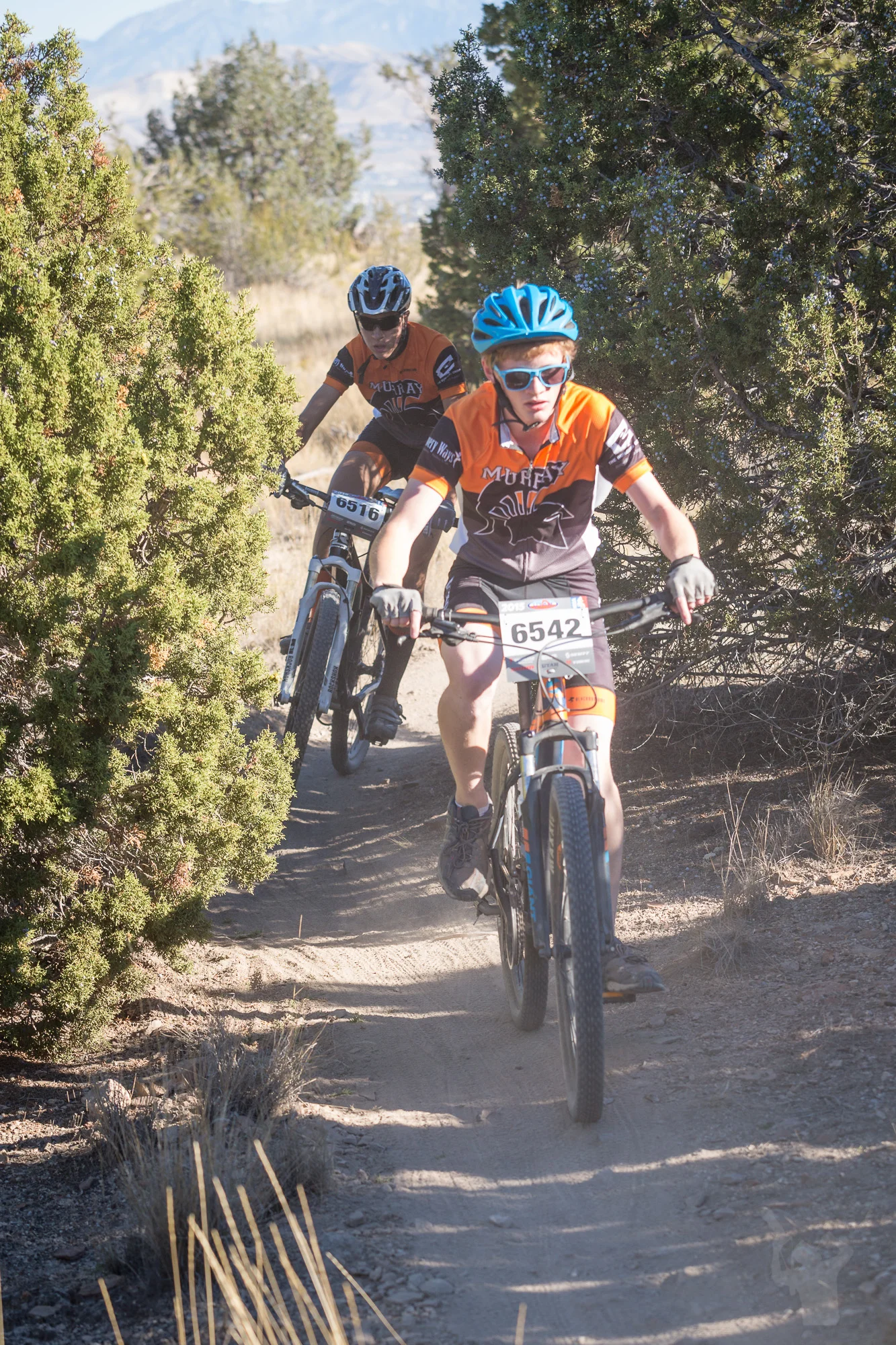 6542 Web (4 of 5).JPG