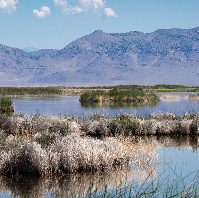 Utah’s West Desert is one big, empty, beautiful place. I am glad to have been all up in it. #utahisrad #getout #overland #wildliferefuge #optoutside