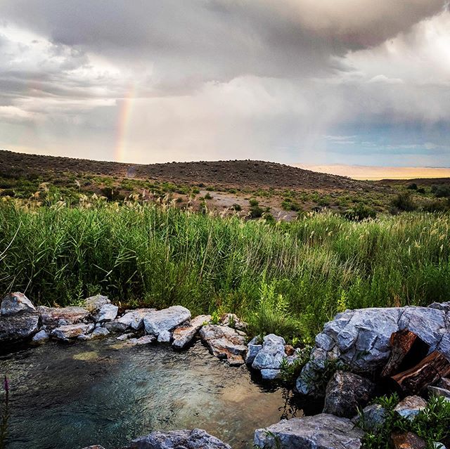 Constantly amazed with what the desert churns out. #roamtheplanet #chillspot