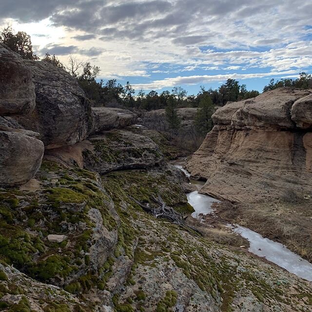 It may not be spring, but a man has an itch to get outside #explore #utah