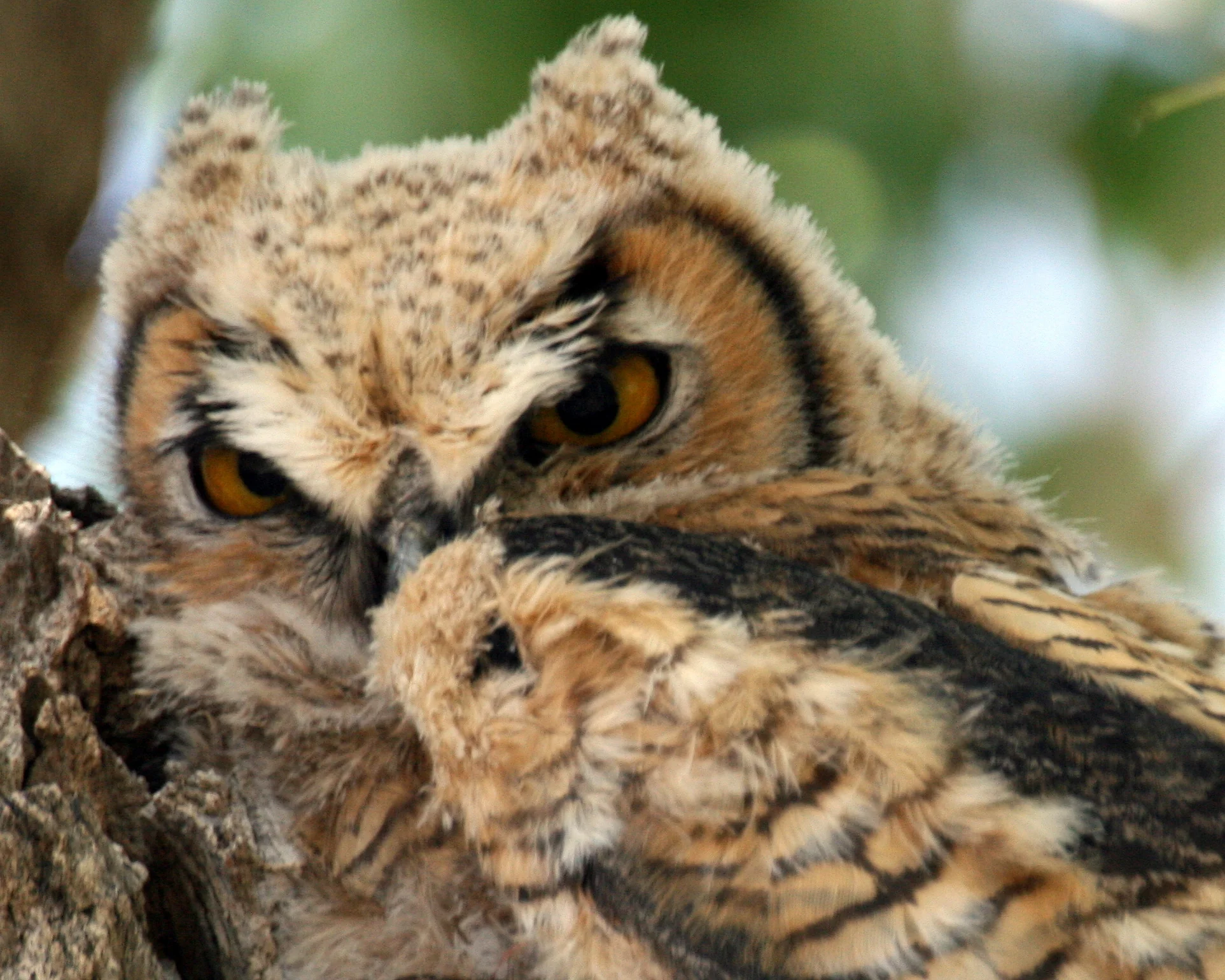 Copy (2) of IMG_4656.JPG