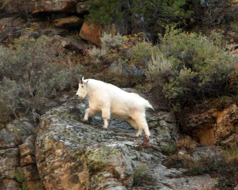 Copy of IMG_5131.JPG