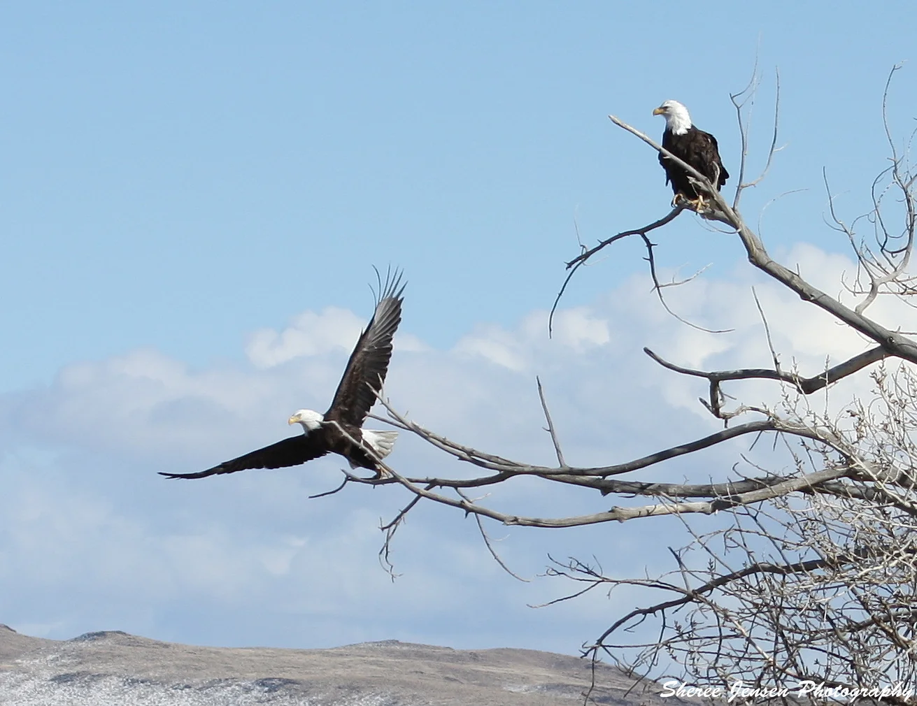 IMG_6856 - Copy (2).JPG