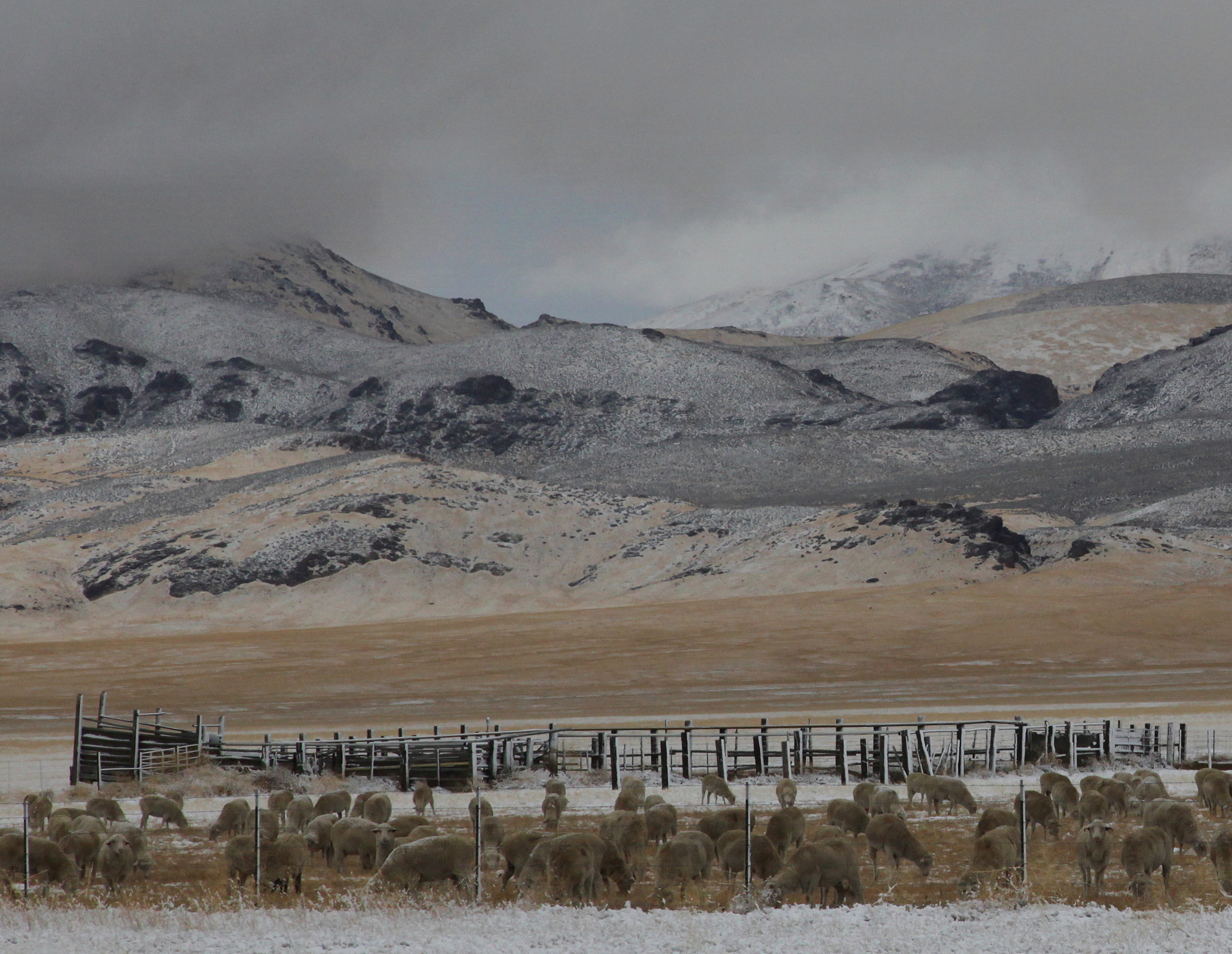 IMG_3582 - Copy (2).JPG