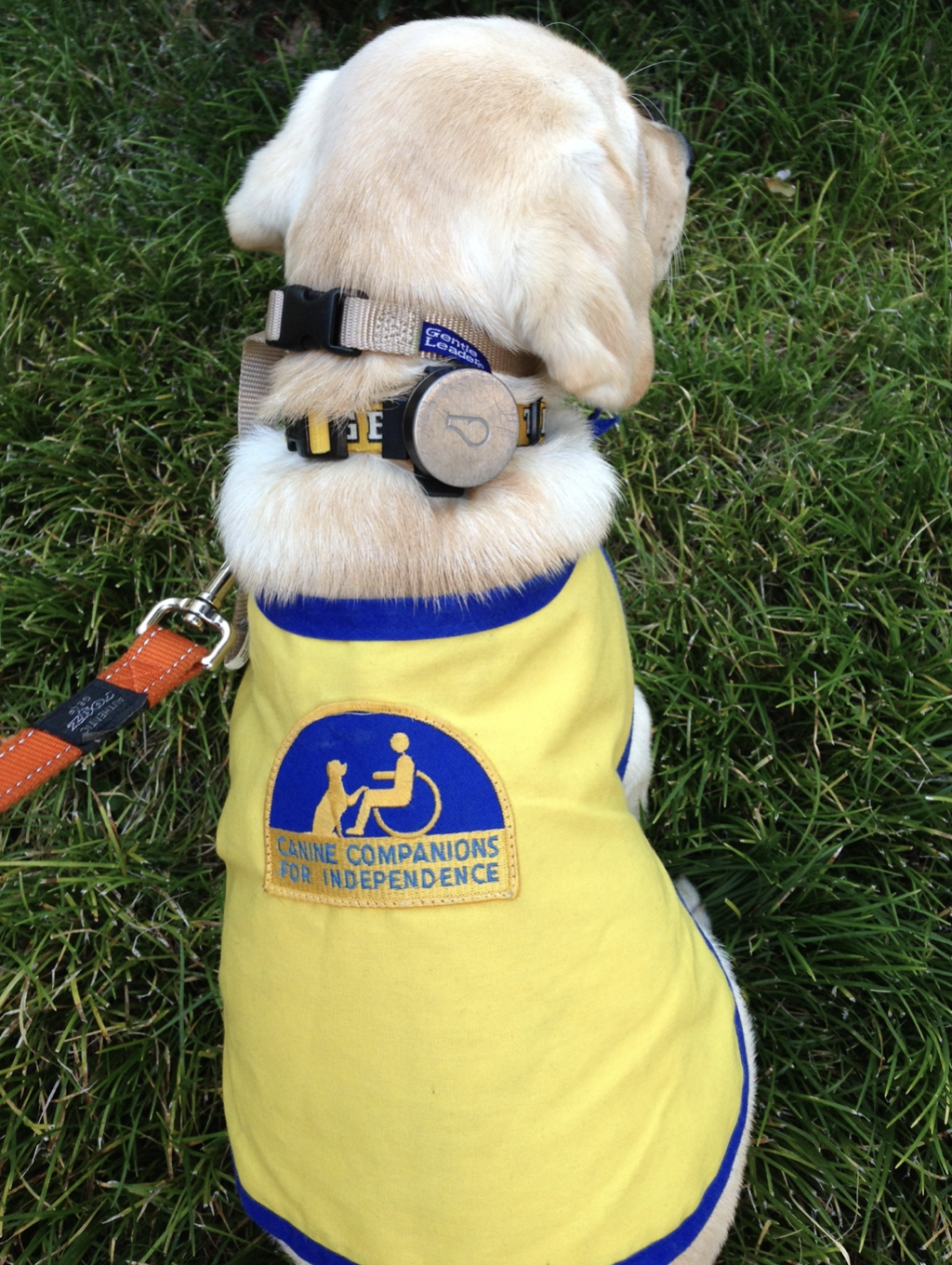 Screen Shot 2023-07-19 at 12.12.16 PM.png