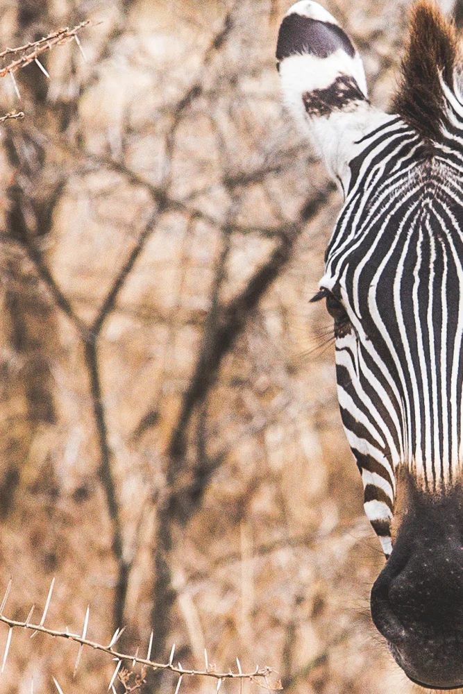 Tanzania-1147.jpg