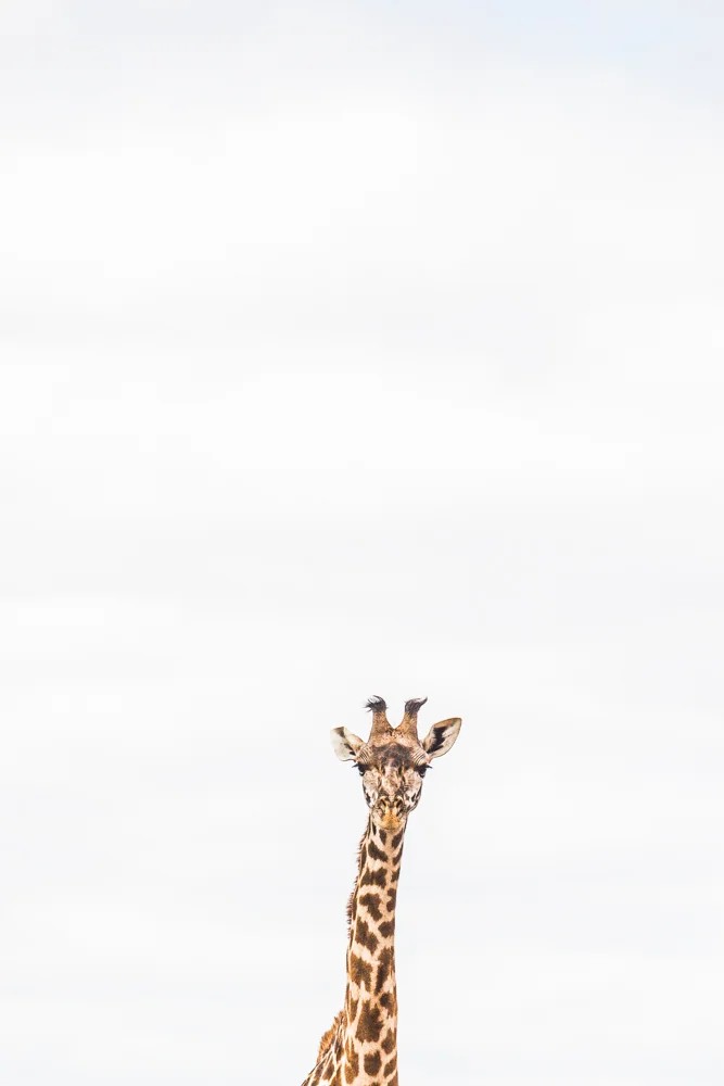 Tanzania-1261.jpg