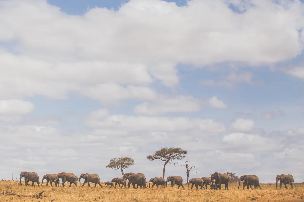 Tanzania-1385.jpg
