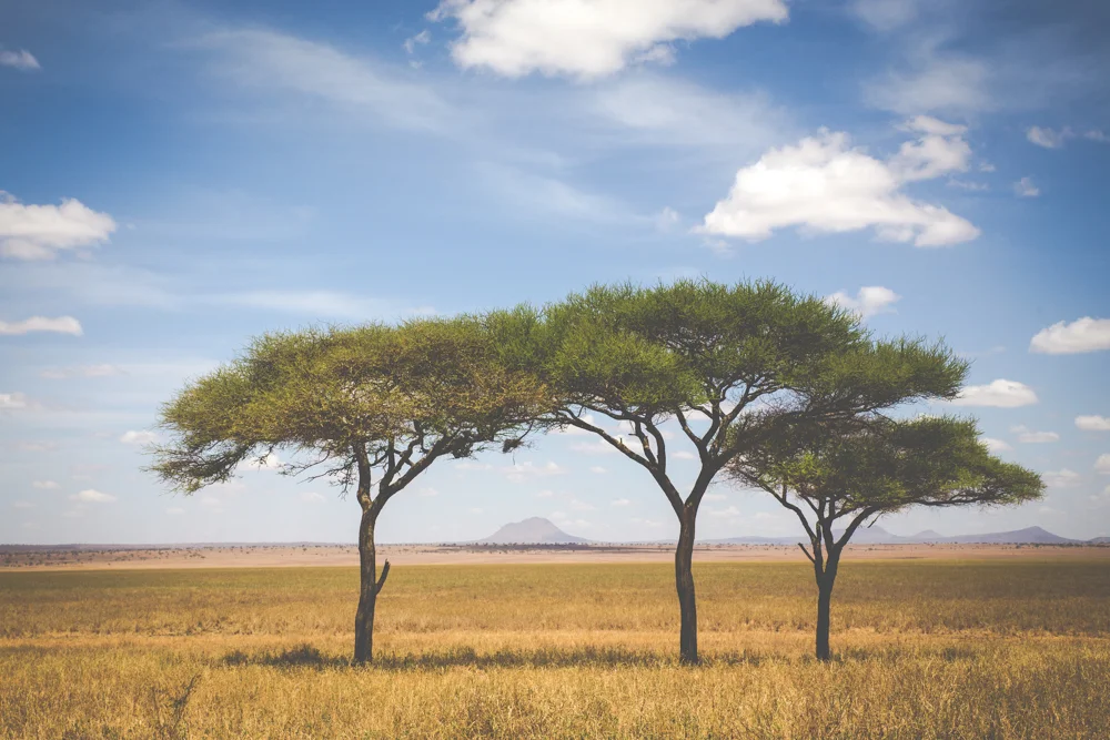 Tanzania-1576.jpg