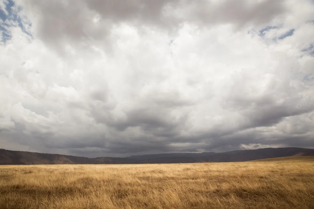 Tanzania-2232.jpg