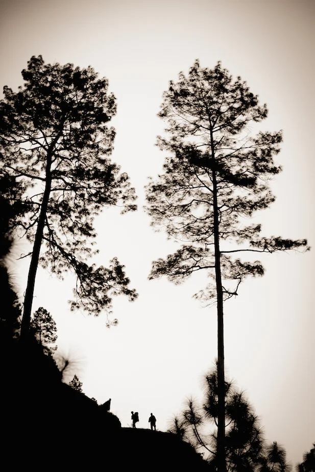 N19.jpg