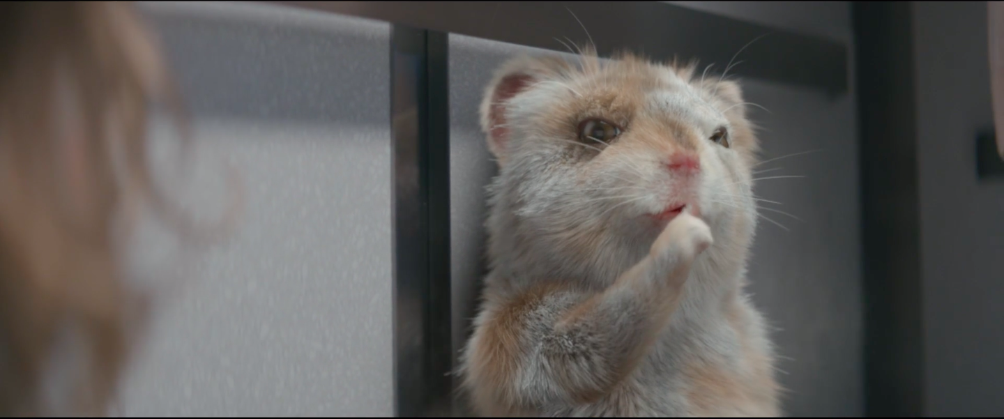 90sec_GM_06-25-2017-4pm