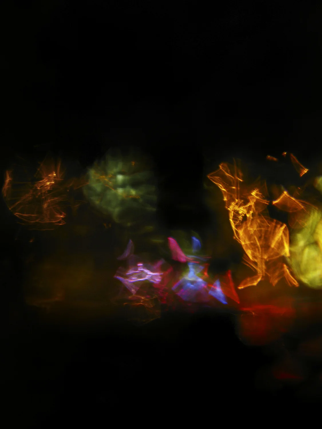 Refractions , 2010, Digital C-print, 24" x 16"