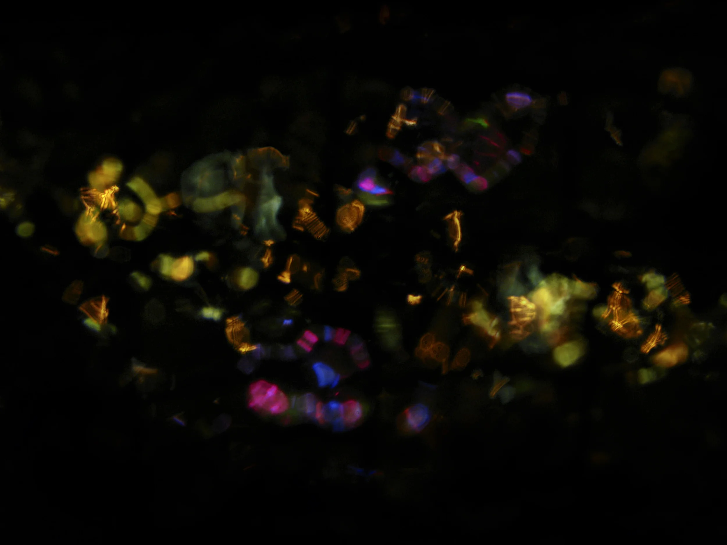   Refractions ,&nbsp;2010, Digital C-print, 16" x 24" 