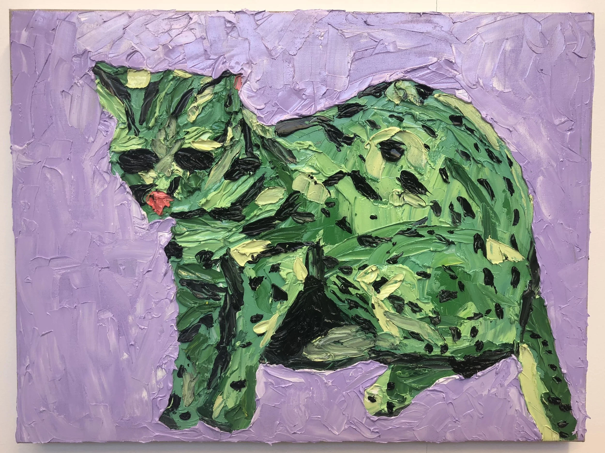 jungle cat