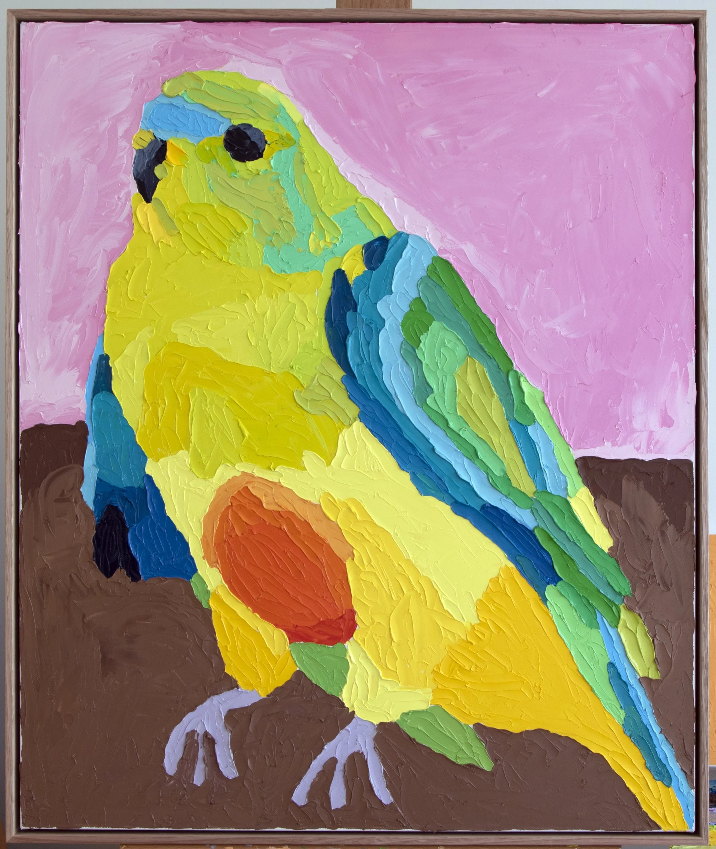 orange bellied parrot VI